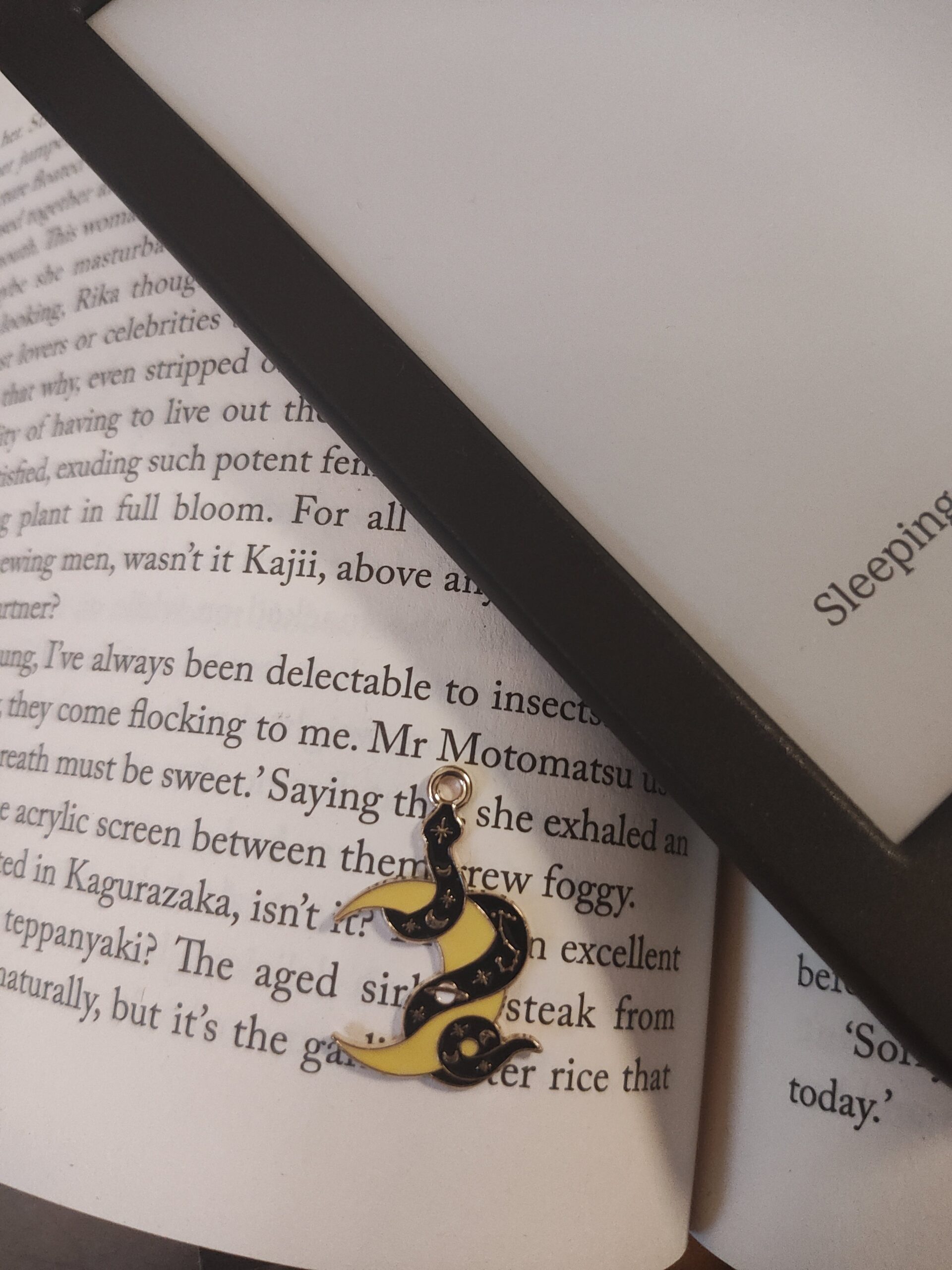 Charms for your Kindle, Phone or Journal - Image 13